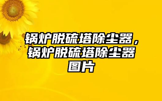 鍋爐脫硫塔除塵器，鍋爐脫硫塔除塵器圖片