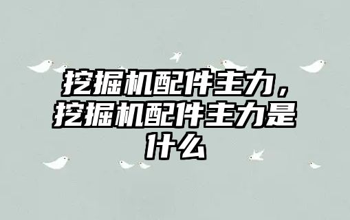 挖掘機配件主力，挖掘機配件主力是什么