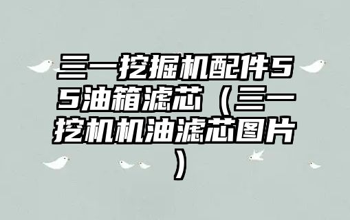 三一挖掘機(jī)配件55油箱濾芯（三一挖機(jī)機(jī)油濾芯圖片）