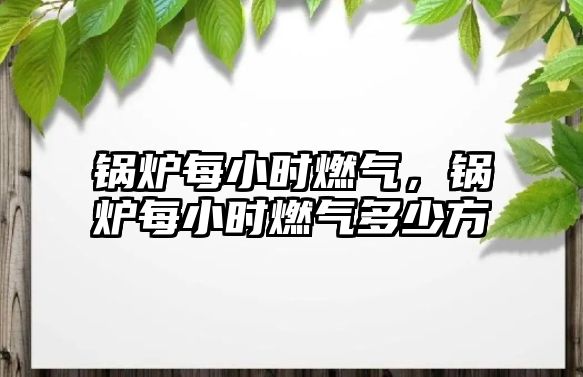 鍋爐每小時(shí)燃?xì)?，鍋爐每小時(shí)燃?xì)舛嗌俜?/>	
								</i>
								<p class=