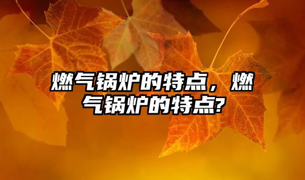 燃?xì)忮仩t的特點(diǎn)，燃?xì)忮仩t的特點(diǎn)?