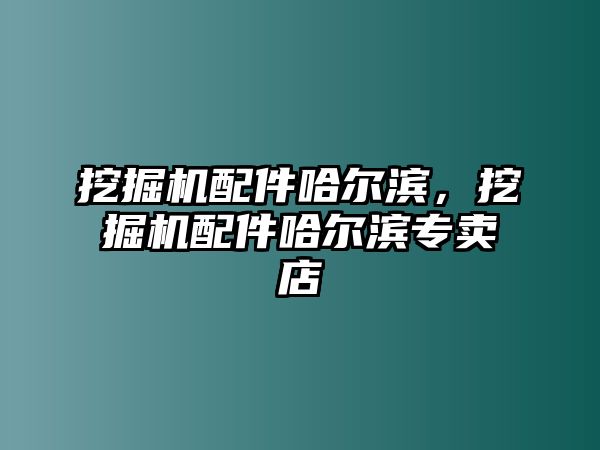 挖掘機(jī)配件哈爾濱，挖掘機(jī)配件哈爾濱專賣店