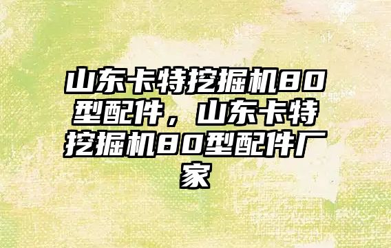 山東卡特挖掘機80型配件，山東卡特挖掘機80型配件廠家