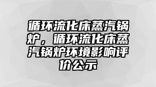 循環(huán)流化床蒸汽鍋爐，循環(huán)流化床蒸汽鍋爐環(huán)境影響評(píng)價(jià)公示