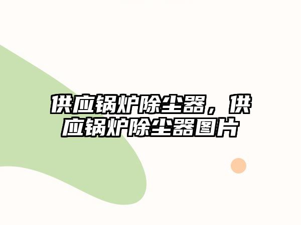 供應(yīng)鍋爐除塵器，供應(yīng)鍋爐除塵器圖片