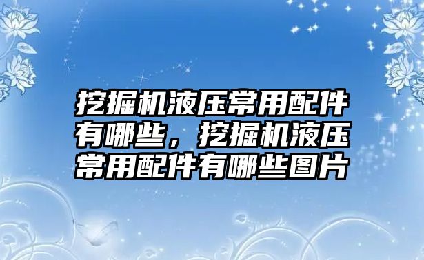 挖掘機(jī)液壓常用配件有哪些，挖掘機(jī)液壓常用配件有哪些圖片