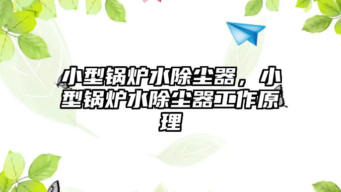 小型鍋爐水除塵器，小型鍋爐水除塵器工作原理