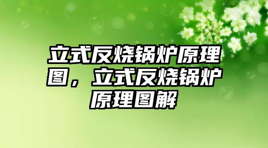 立式反燒鍋爐原理圖，立式反燒鍋爐原理圖解