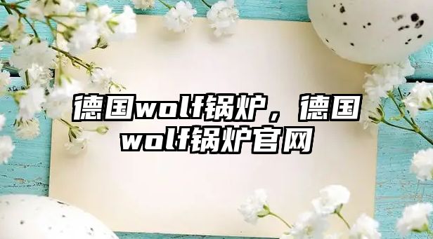 德國(guó)wolf鍋爐，德國(guó)wolf鍋爐官網(wǎng)