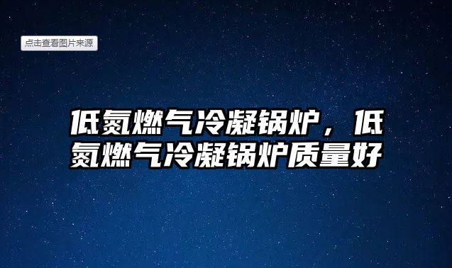 低氮燃?xì)饫淠仩t，低氮燃?xì)饫淠仩t質(zhì)量好