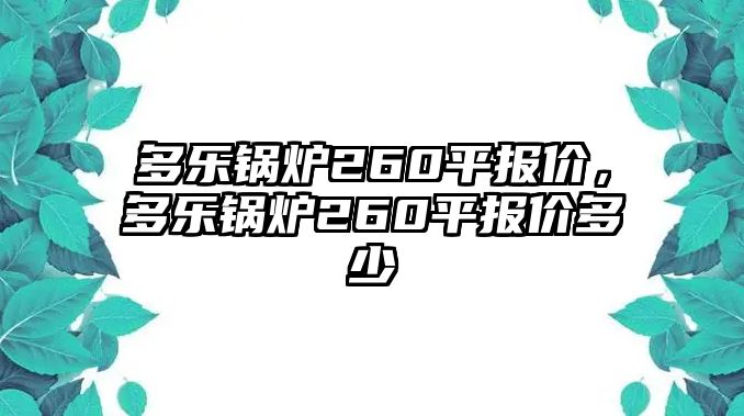 多樂鍋爐260平報(bào)價(jià)，多樂鍋爐260平報(bào)價(jià)多少