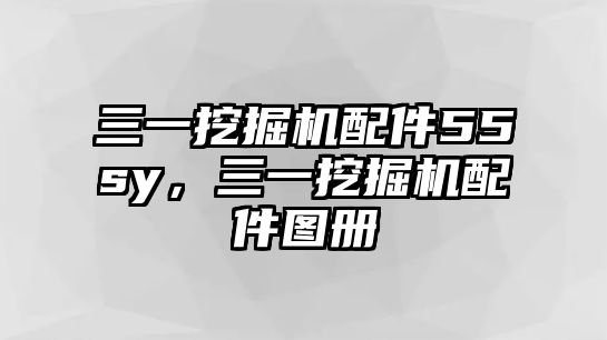 三一挖掘機配件55sy，三一挖掘機配件圖冊