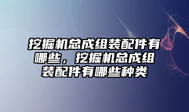 挖掘機總成組裝配件有哪些，挖掘機總成組裝配件有哪些種類