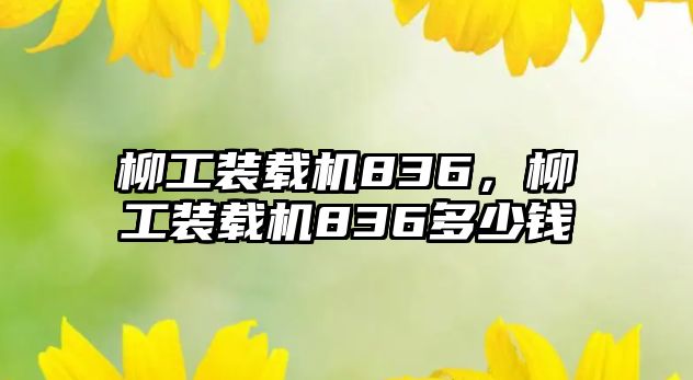 柳工裝載機836，柳工裝載機836多少錢