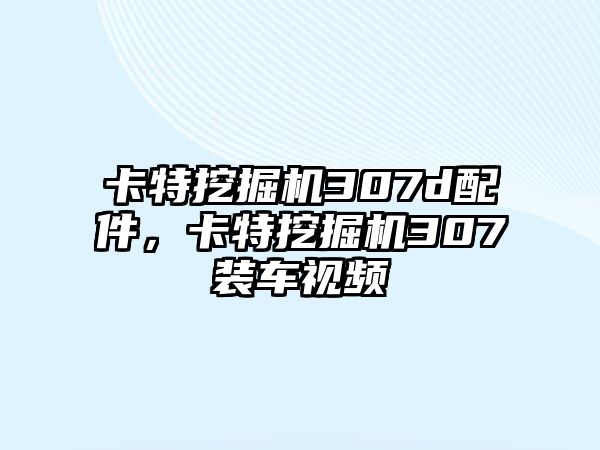 卡特挖掘機307d配件，卡特挖掘機307裝車視頻