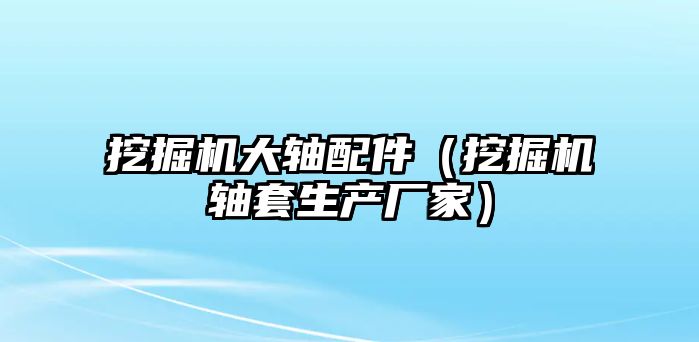 挖掘機大軸配件（挖掘機軸套生產(chǎn)廠家）