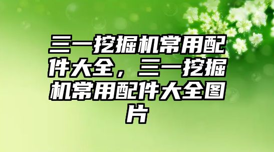 三一挖掘機常用配件大全，三一挖掘機常用配件大全圖片