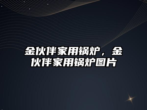 金伙伴家用鍋爐，金伙伴家用鍋爐圖片