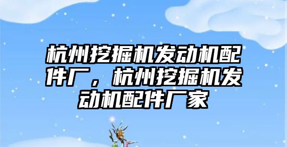 杭州挖掘機發(fā)動機配件廠，杭州挖掘機發(fā)動機配件廠家