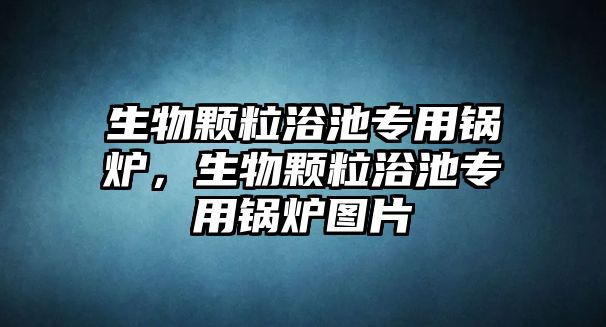 生物顆粒浴池專用鍋爐，生物顆粒浴池專用鍋爐圖片