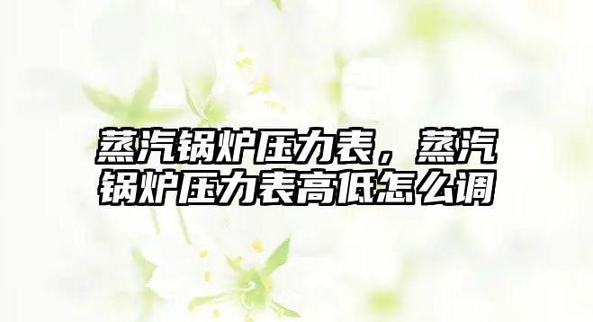 蒸汽鍋爐壓力表，蒸汽鍋爐壓力表高低怎么調(diào)