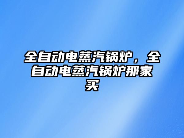 全自動電蒸汽鍋爐，全自動電蒸汽鍋爐那家買