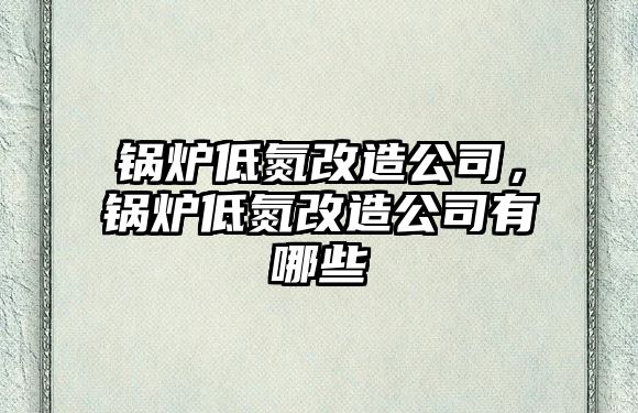 鍋爐低氮改造公司，鍋爐低氮改造公司有哪些