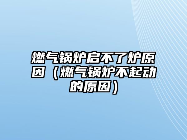 燃?xì)忮仩t啟不了爐原因（燃?xì)忮仩t不起動的原因）