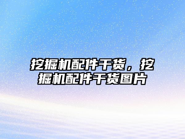 挖掘機配件干貨，挖掘機配件干貨圖片