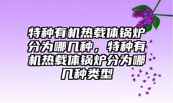 特種有機熱載體鍋爐分為哪幾種，特種有機熱載體鍋爐分為哪幾種類型