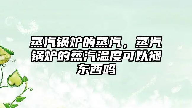 蒸汽鍋爐的蒸汽，蒸汽鍋爐的蒸汽溫度可以褪東西嗎