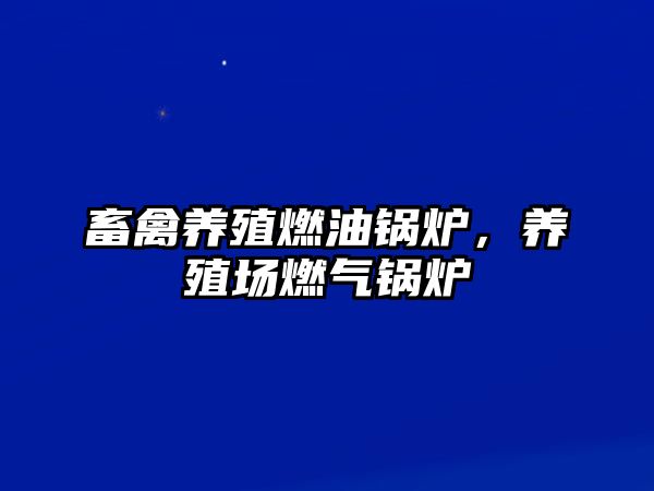 畜禽養(yǎng)殖燃油鍋爐，養(yǎng)殖場燃?xì)忮仩t