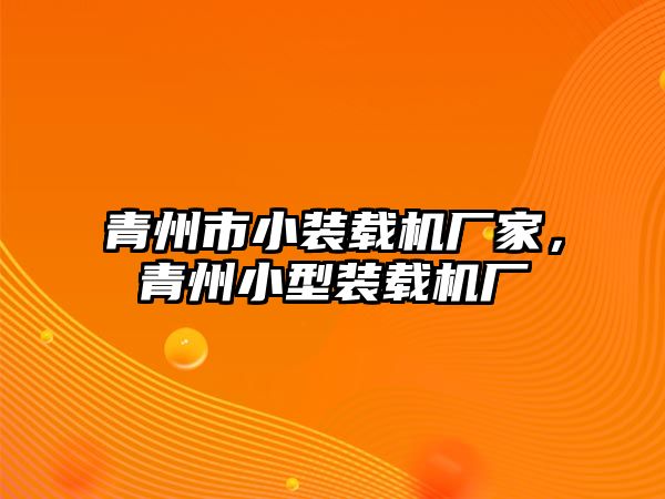 青州市小裝載機(jī)廠家，青州小型裝載機(jī)廠