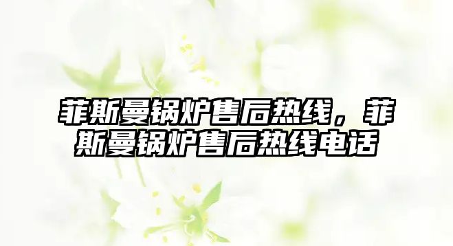 菲斯曼鍋爐售后熱線，菲斯曼鍋爐售后熱線電話