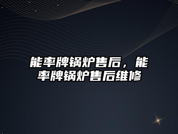 能率牌鍋爐售后，能率牌鍋爐售后維修