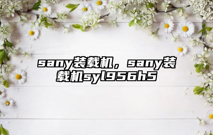 sany裝載機(jī)，sany裝載機(jī)syl956h5