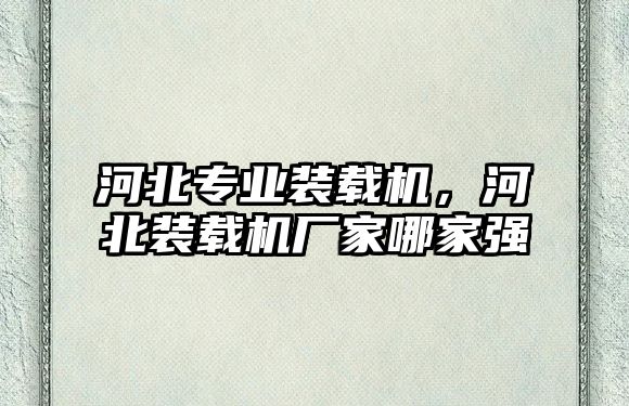 河北專業(yè)裝載機，河北裝載機廠家哪家強