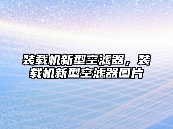 裝載機(jī)新型空濾器，裝載機(jī)新型空濾器圖片