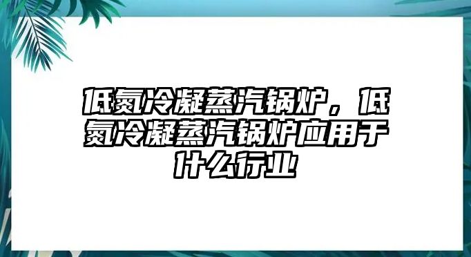 低氮冷凝蒸汽鍋爐，低氮冷凝蒸汽鍋爐應(yīng)用于什么行業(yè)