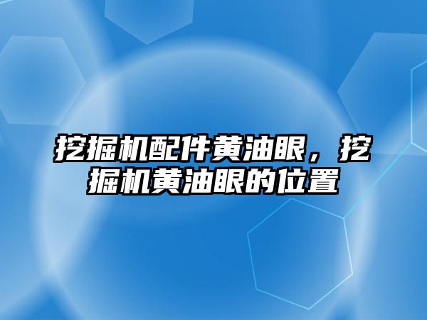 挖掘機配件黃油眼，挖掘機黃油眼的位置