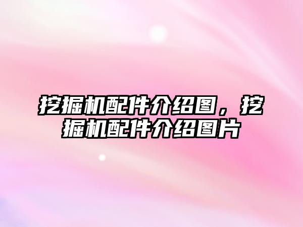 挖掘機配件介紹圖，挖掘機配件介紹圖片