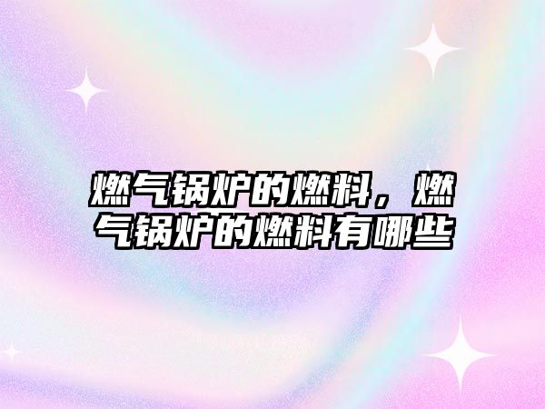 燃?xì)忮仩t的燃料，燃?xì)忮仩t的燃料有哪些