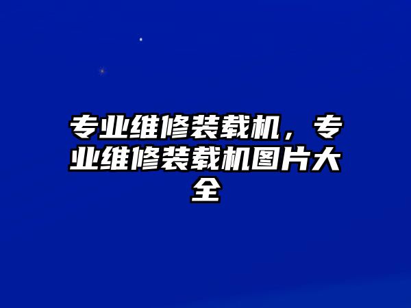 專業(yè)維修裝載機(jī)，專業(yè)維修裝載機(jī)圖片大全