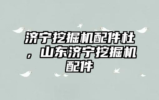 濟寧挖掘機配件杜，山東濟寧挖掘機配件