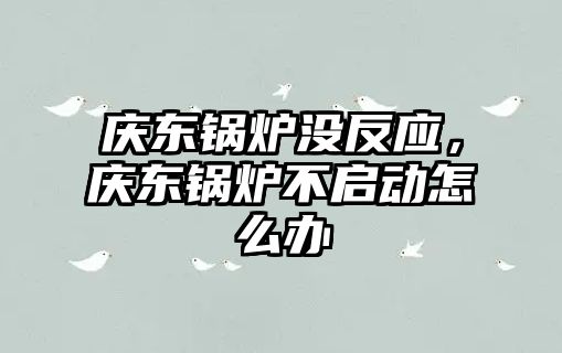 慶東鍋爐沒反應(yīng)，慶東鍋爐不啟動怎么辦