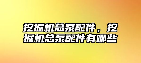 挖掘機總泵配件，挖掘機總泵配件有哪些