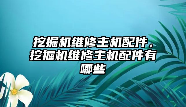 挖掘機維修主機配件，挖掘機維修主機配件有哪些