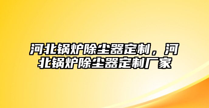 河北鍋爐除塵器定制，河北鍋爐除塵器定制廠家