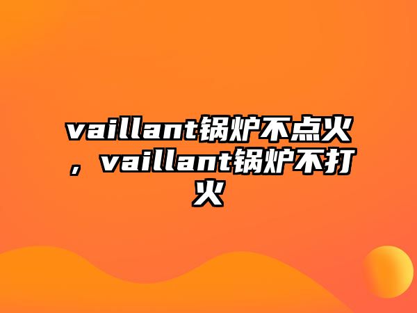 vaillant鍋爐不點火，vaillant鍋爐不打火