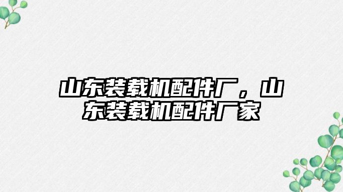 山東裝載機配件廠，山東裝載機配件廠家